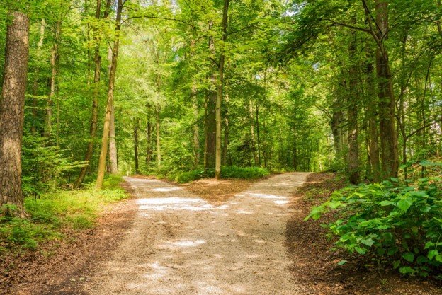 Trauma-Informed Practice Starts With Curiosity